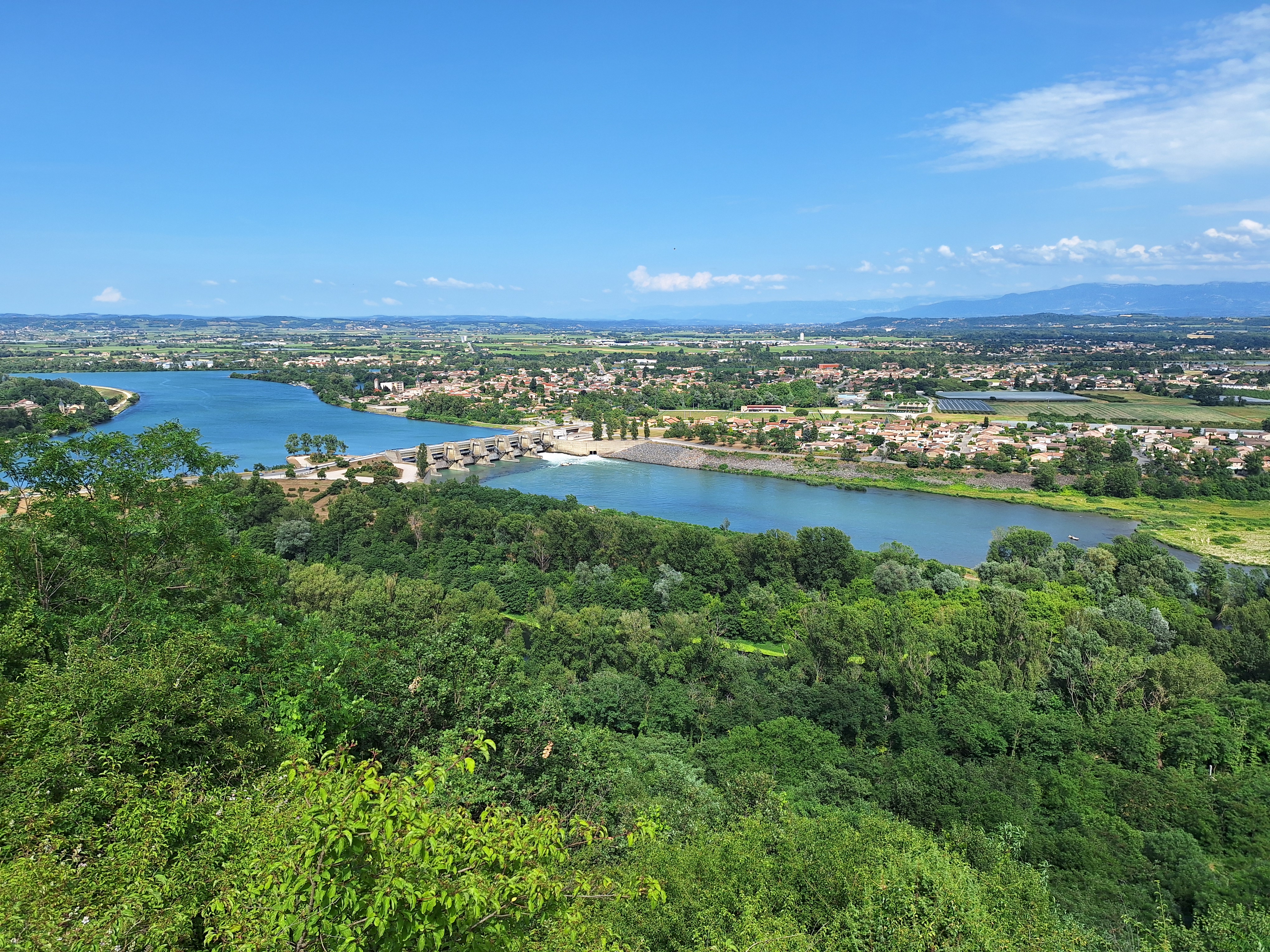 Cepages du Domaine des Granges