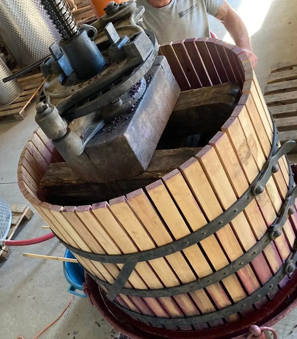 Pressage des raisins