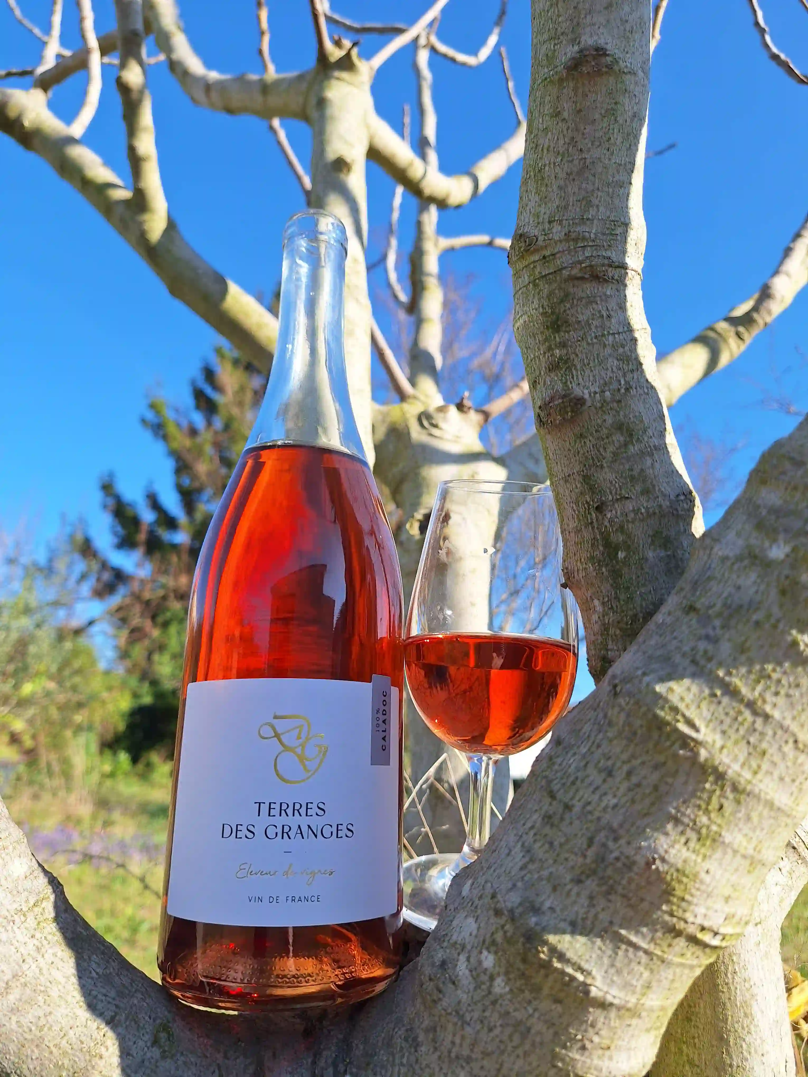 Bouteille de Caladoc rose au domaine