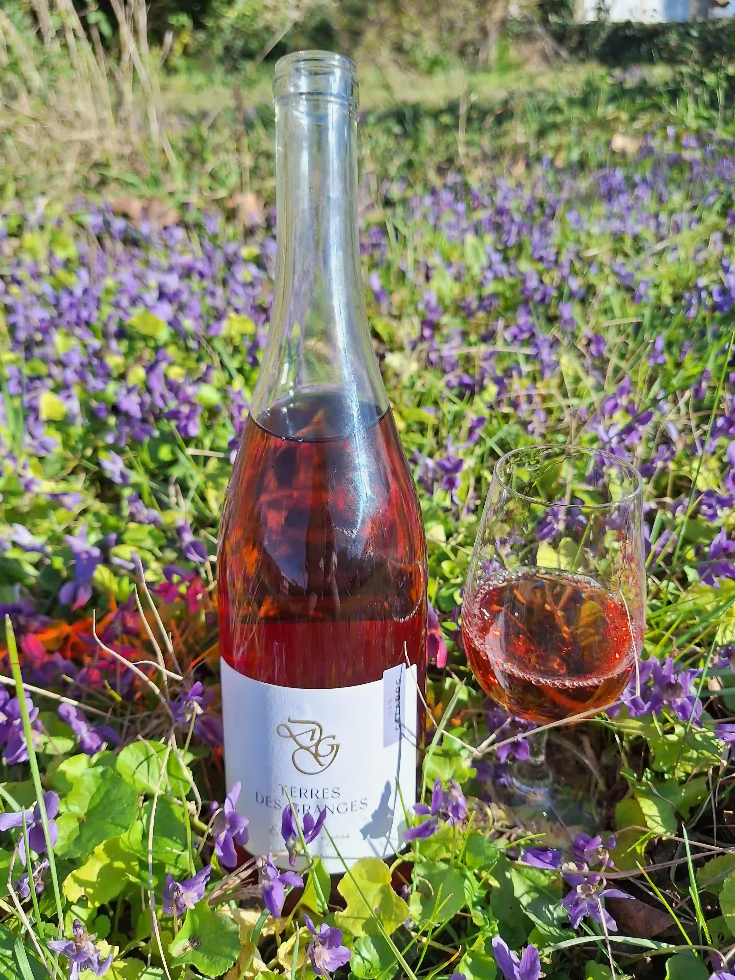Caladoc rose du Domaine des Granges