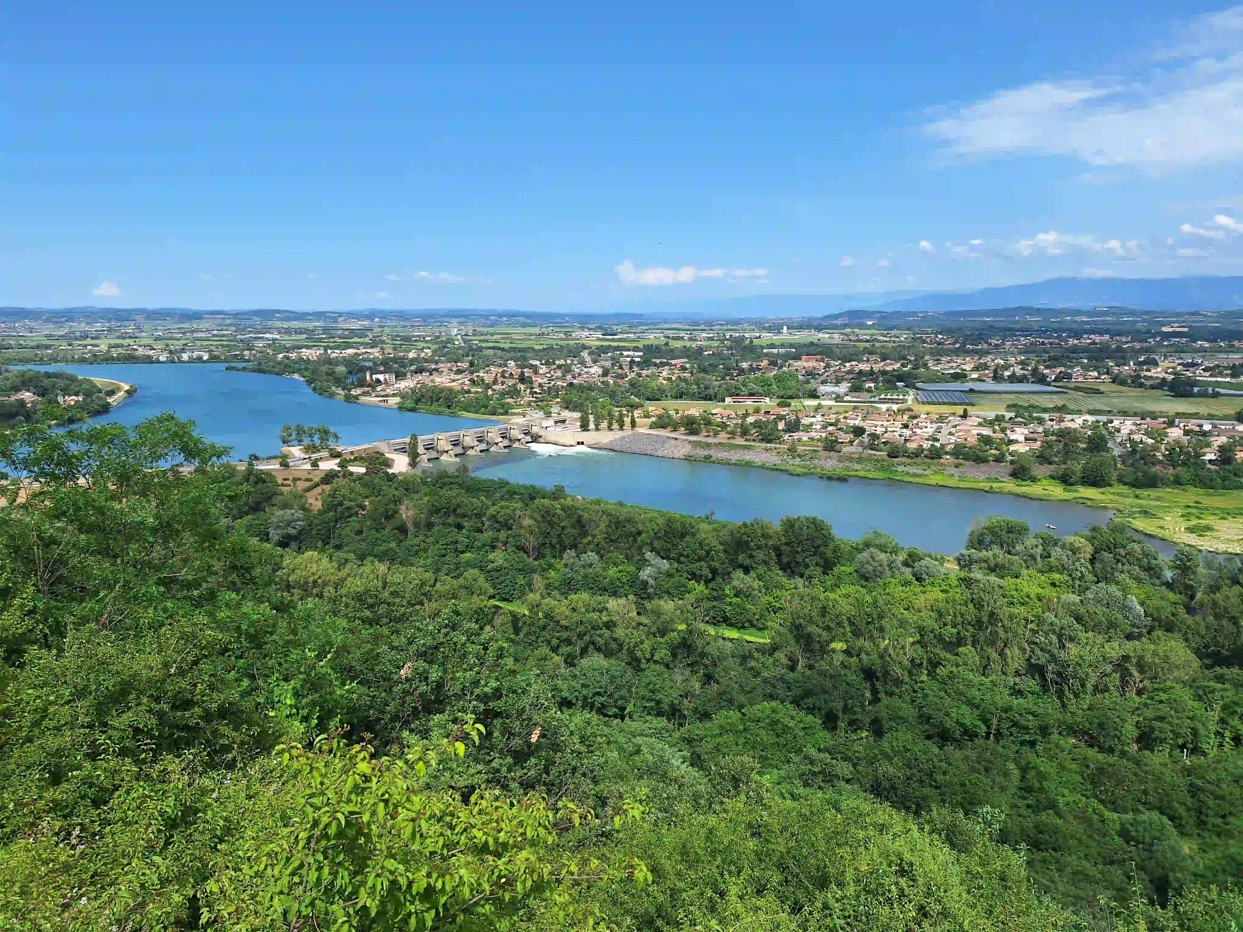 Cepages du Domaine des Granges